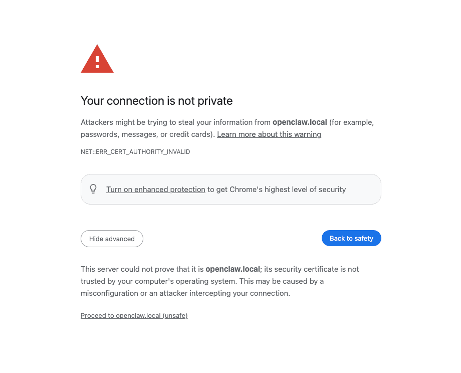Browser cert warning — click Advanced, then Proceed