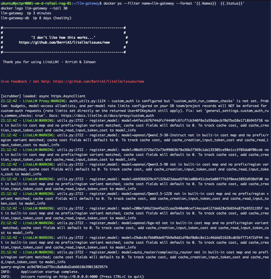 The LiteLLM startup log, carrying the custom_auth_run_common_checks warning among the model registration warnings, ending in Application startup complete