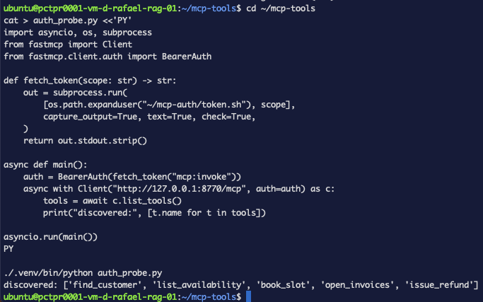 A probe script using BearerAuth with a token from the shell helper, printing all five discovered tool names