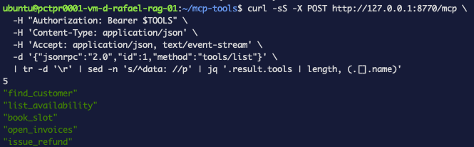 The tools list returned to an authorised caller: five tools, find_customer, list_availability, book_slot, open_invoices and issue_refund