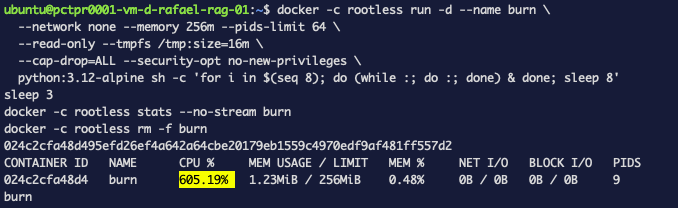 Docker stats showing the burn container consuming 605.19 percent CPU while memory sits at 1.23 MiB of 256 MiB, network IO at zero and 9 processes