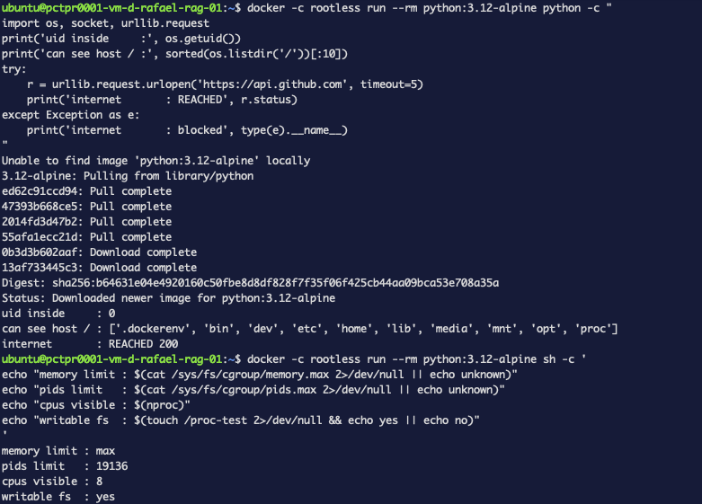 A container running model code reports uid 0, full internet access returning HTTP 200, unlimited memory, a pids limit of 19136, eight visible CPUs and a writable filesystem