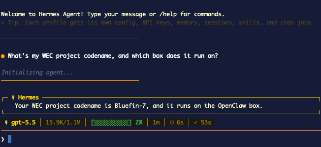 A fresh Hermes session after reboot correctly recalling the Bluefin-7 codename from disk