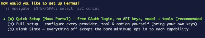 The "How would you like to set up Hermes?" prompt with Quick Setup, Full setup, and Blank Slate options