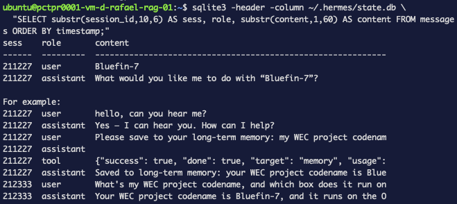 The messages table in state.db showing the full conversation — user, assistant, and tool rows across both sessions