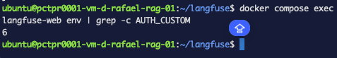 docker compose exec counting six AUTH_CUSTOM variables inside the langfuse-web container