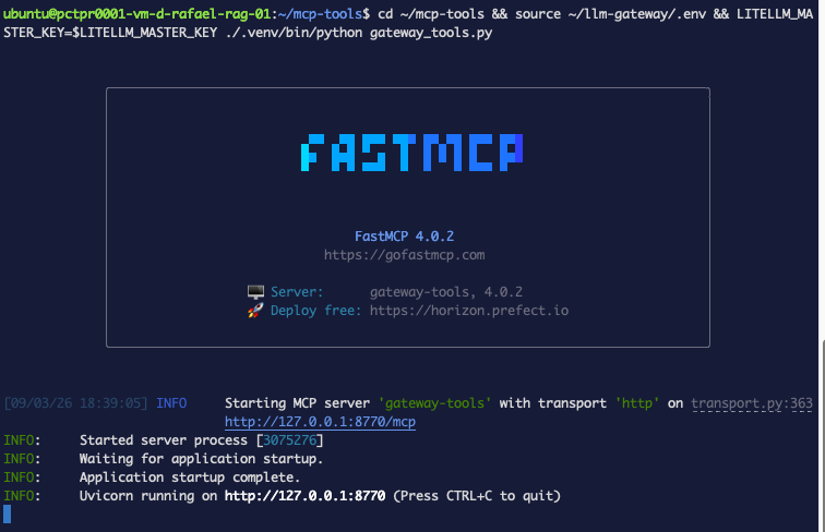 FastMCP starting without the stateless marker