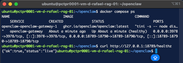docker compose ps healthy and the healthz JSON response