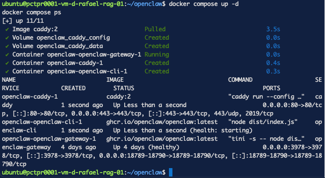 Contenedor de Caddy en funcionamiento con 443 publicado