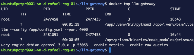 docker top mostrando un proceso de python de litellm y un motor de consultas de Prisma