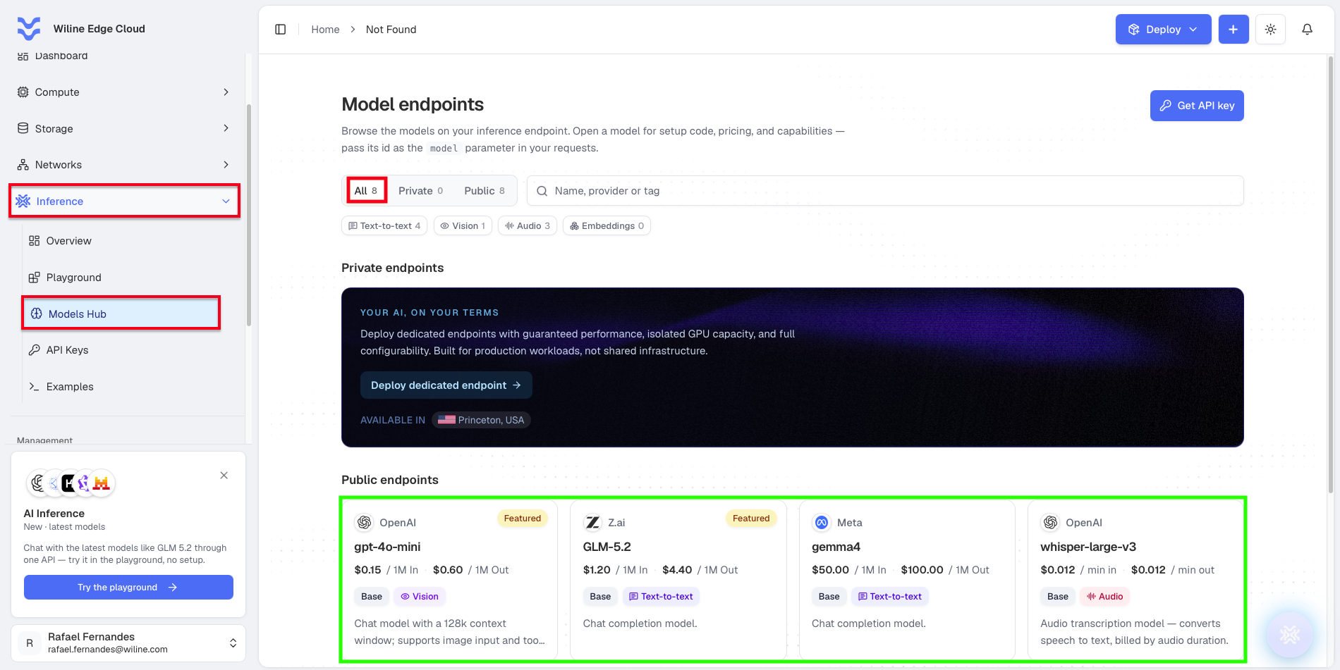 El Modelos Hub mostrando las pestañas Todas/Privadas/Públicas, filtros de búsqueda y etiquetas, el banner de puntos finales privados, y las tarjetas de modelos públicos