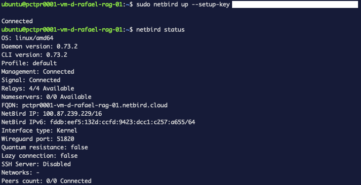 estado de netbird en la VM — Gestión y Señal Conectadas, IP de malla 100.87.239.229, conteo de Pares 0/0
