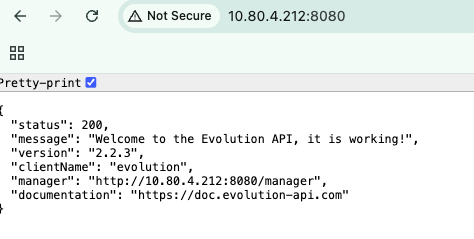 La API de Evolution respondiendo en un navegador mientras UFW deniega todo el tráfico entrante
