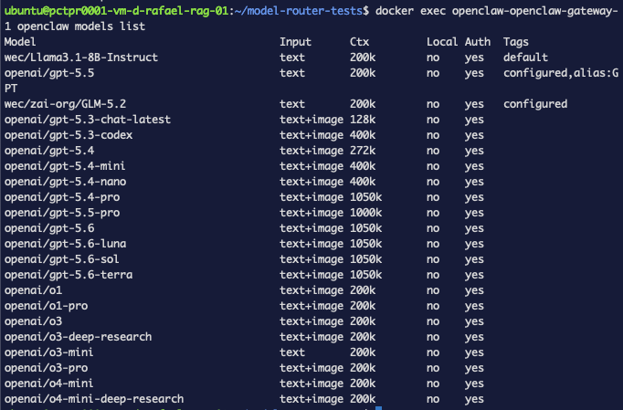 Terminal mostrando la lista de modelos de openclaw con wec/Llama3.1-8B-Instruct configurado y establecido como modelo predeterminado